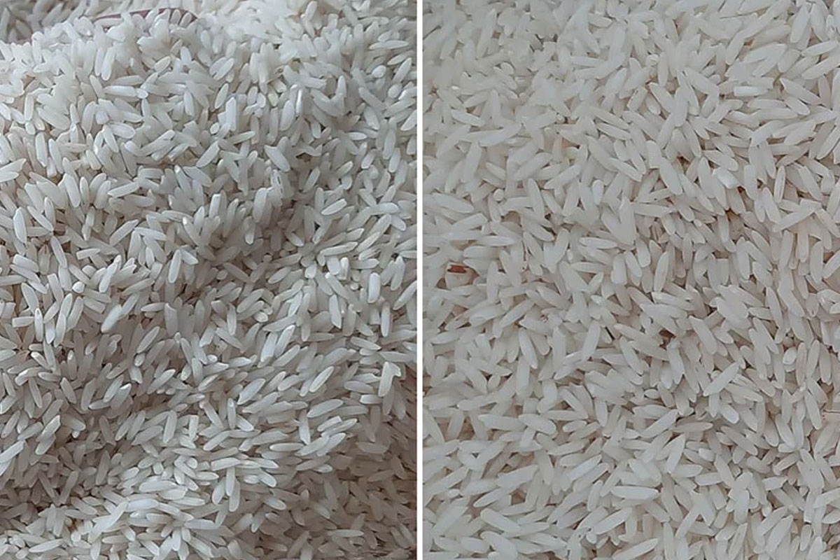 تفاوت برنج هاشمی‌وبرنج طارم چیست.کدام یک بهتر است؟