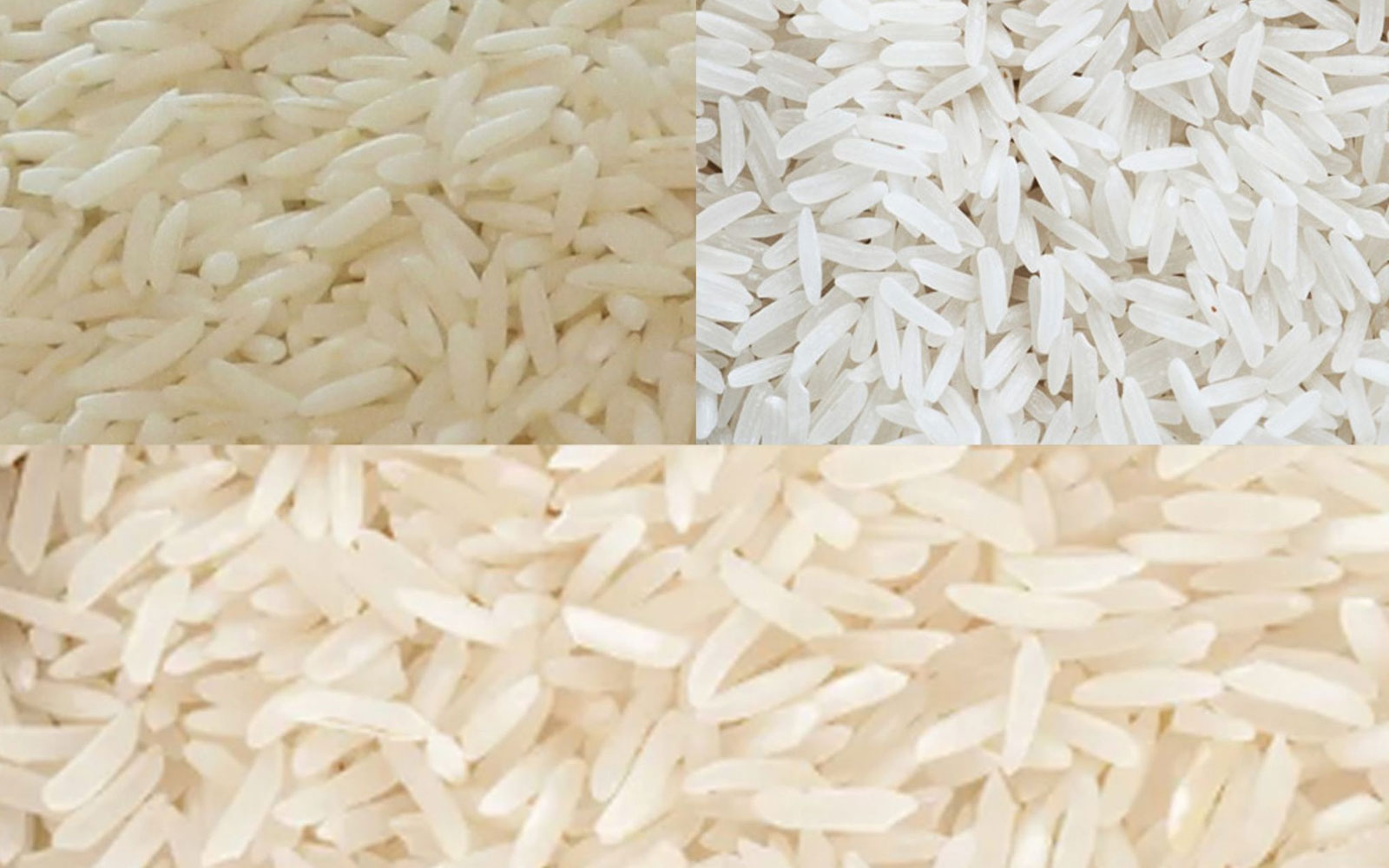 تاثیر روش پخت بر طعم و کیفیت برنج تازه