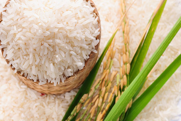 برنج تراریخته چیست؟