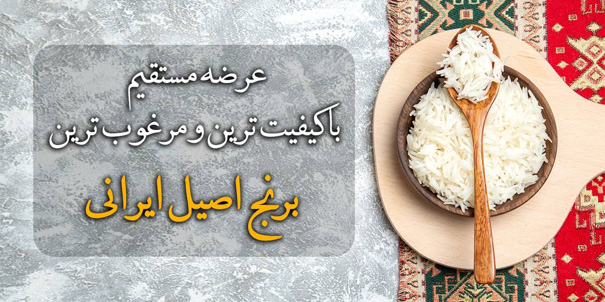 عرضه مستقیم برنج ایرانی شمال